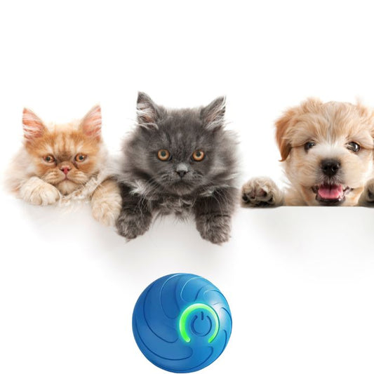 Interactieve oplaadbare speelbal voor honden & katten – Astalux Smart Pet Ball