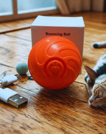 Interactieve oplaadbare speelbal voor honden & katten – Astalux Smart Pet Ball